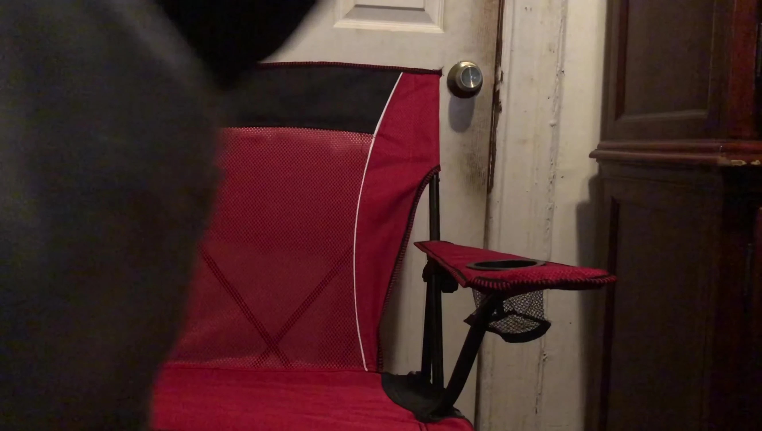 A full view of the chair showing its features.