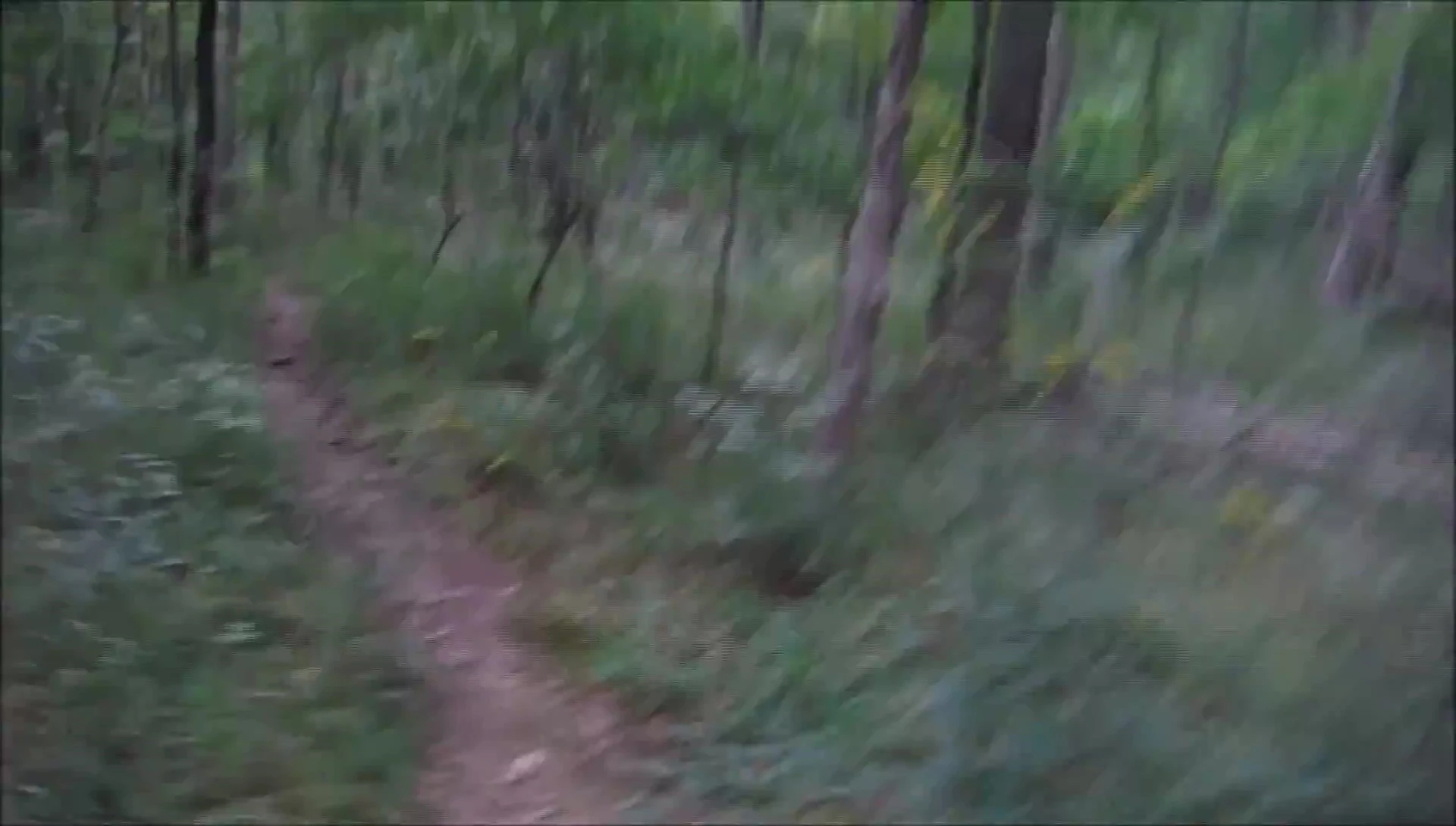 The YouTuber walking on a rocky trail