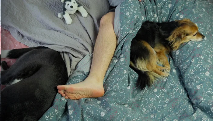 Cold Sleepers: