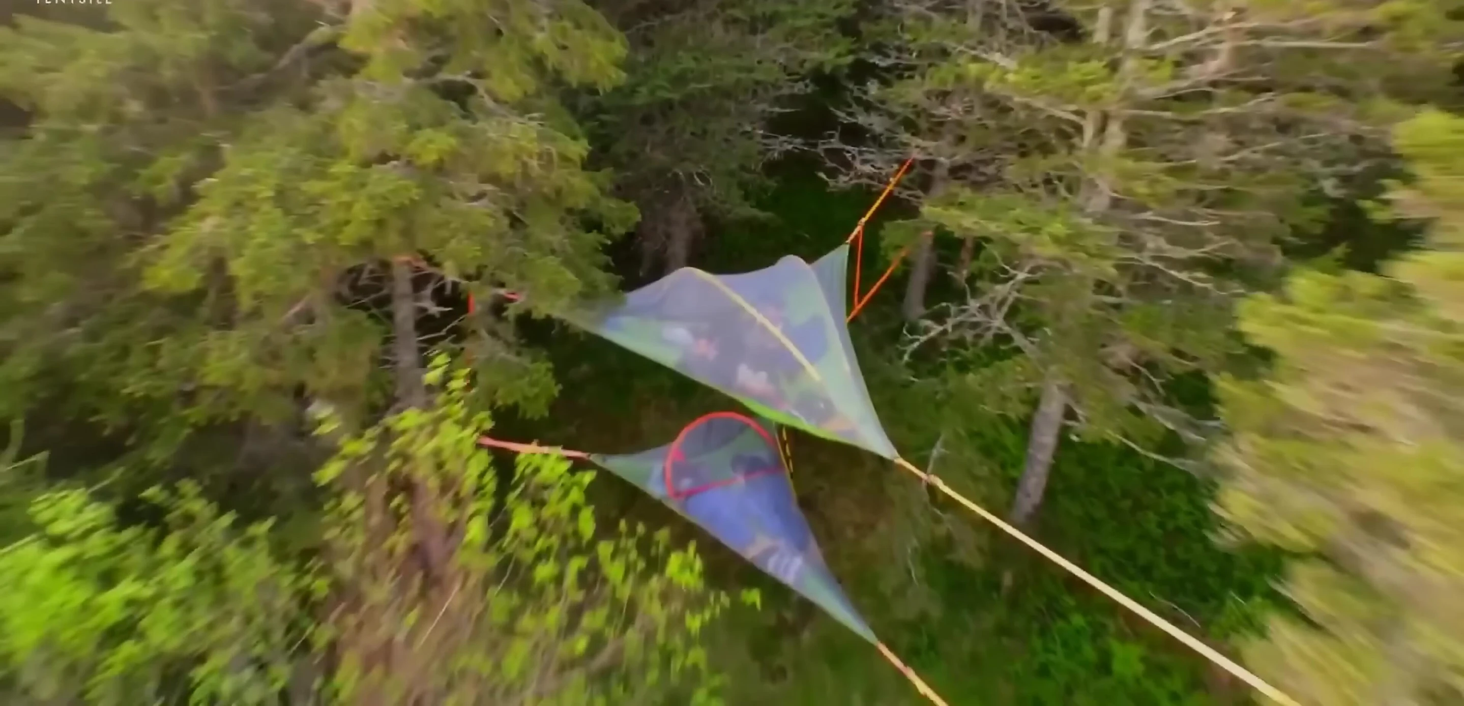 Montage of different tree tent models.