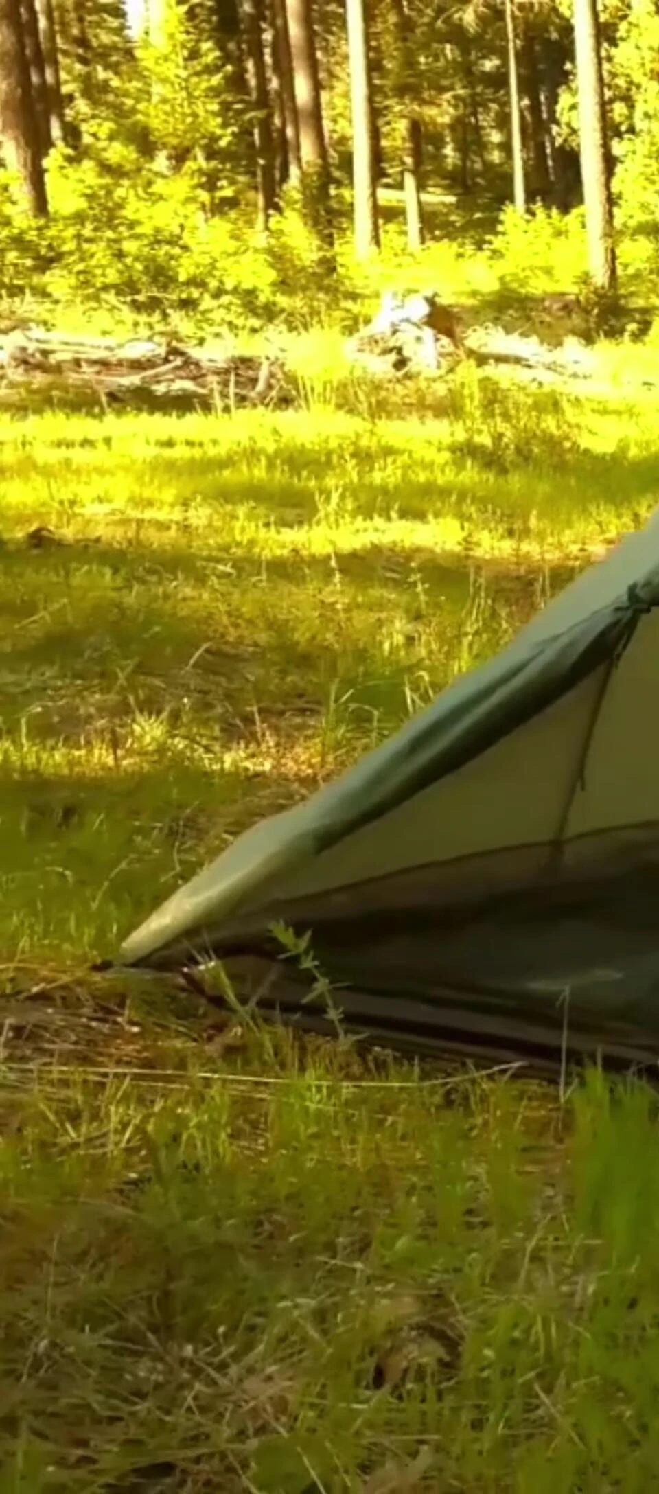 Close-up of Cottage Double Rainbow tent details