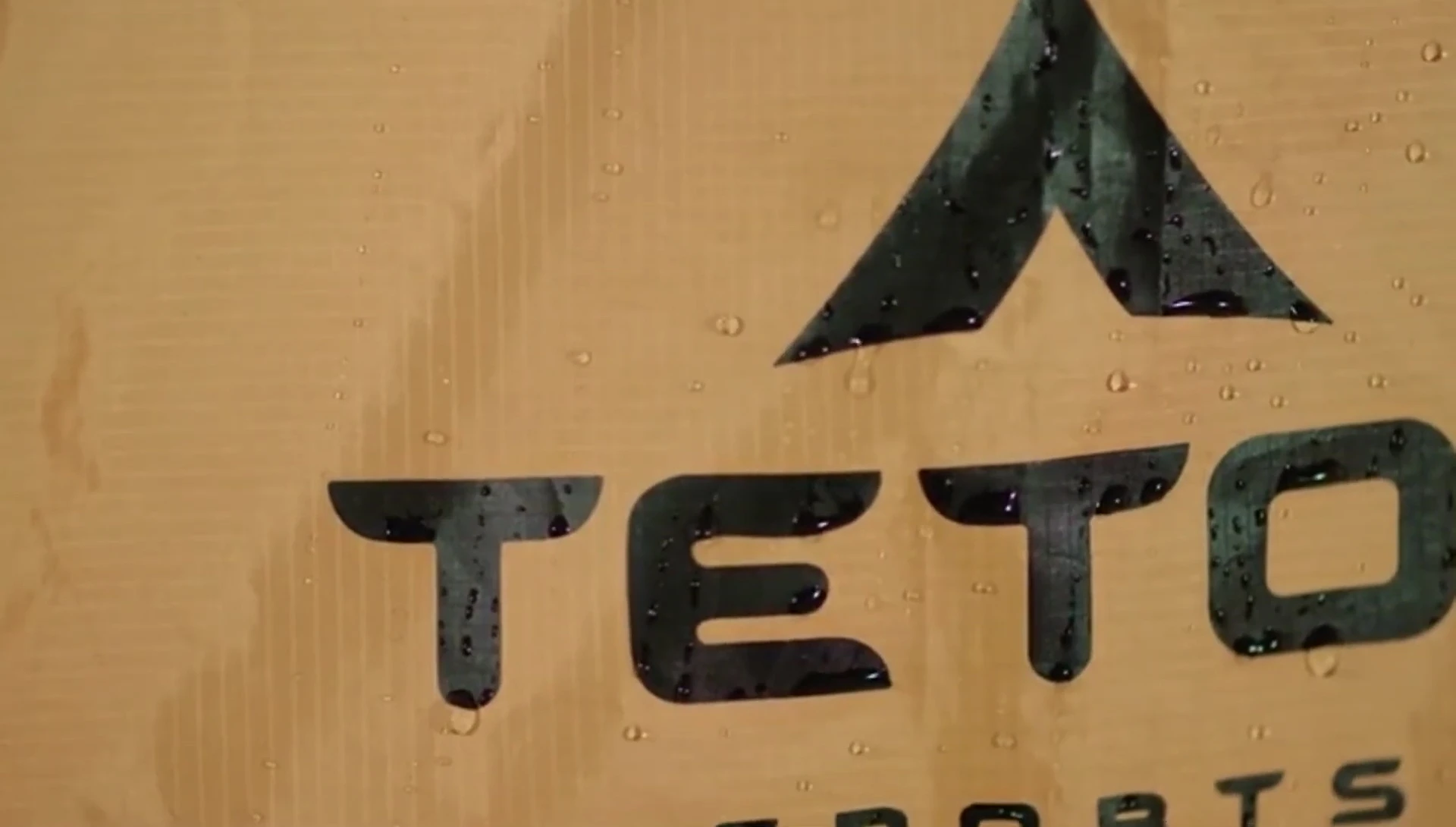 View from inside the Mountain Ultra Tent showing mesh top