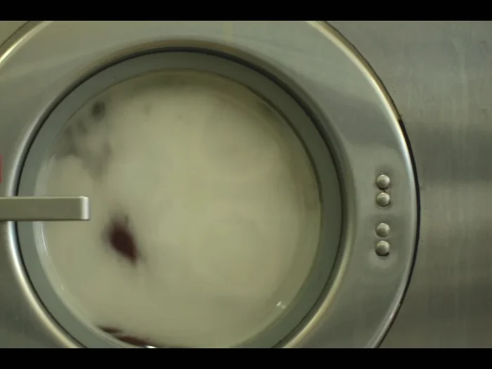 Start the wash cycle.