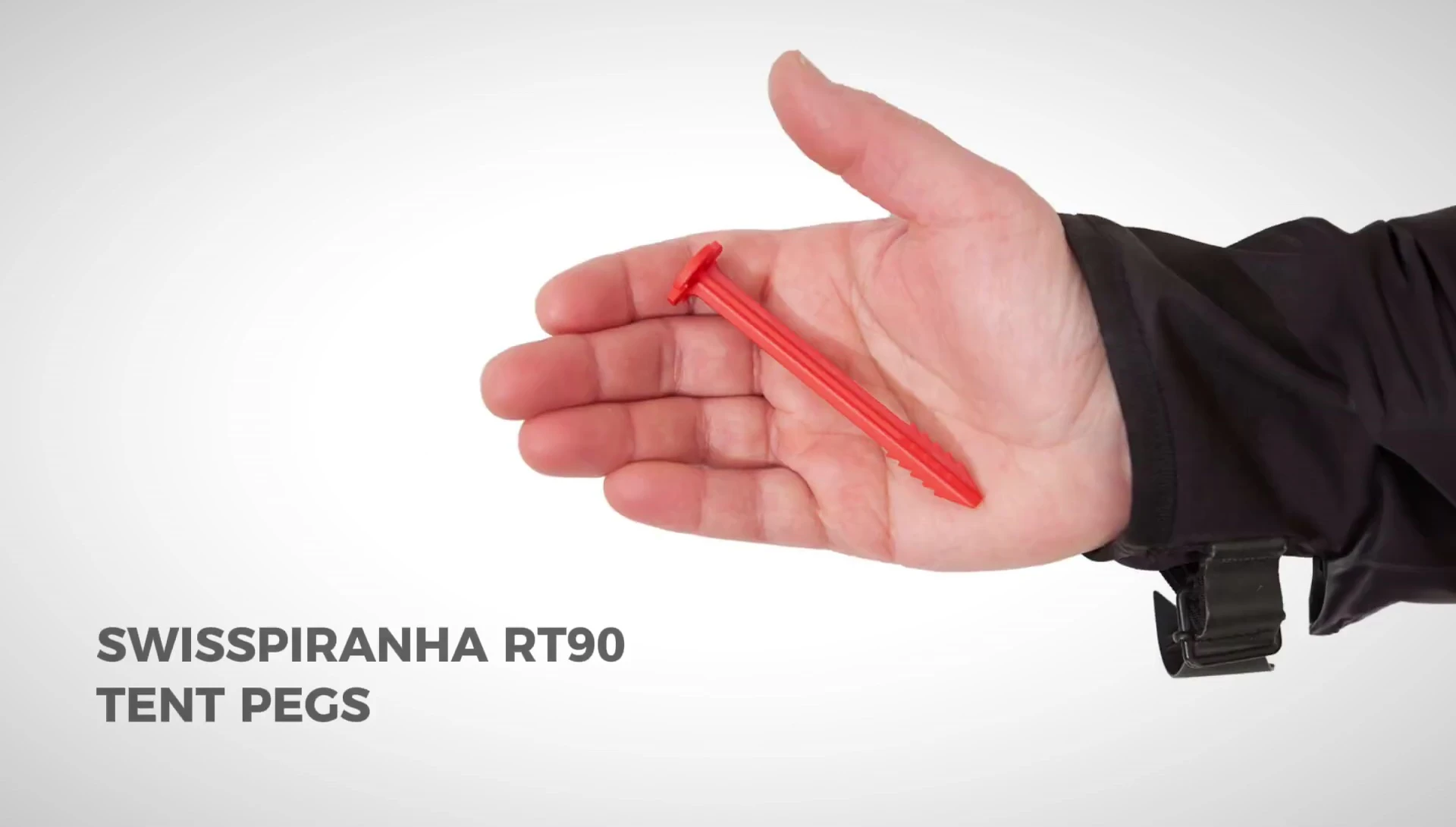 Image of Swiss Peak RT90 Tent Pegs