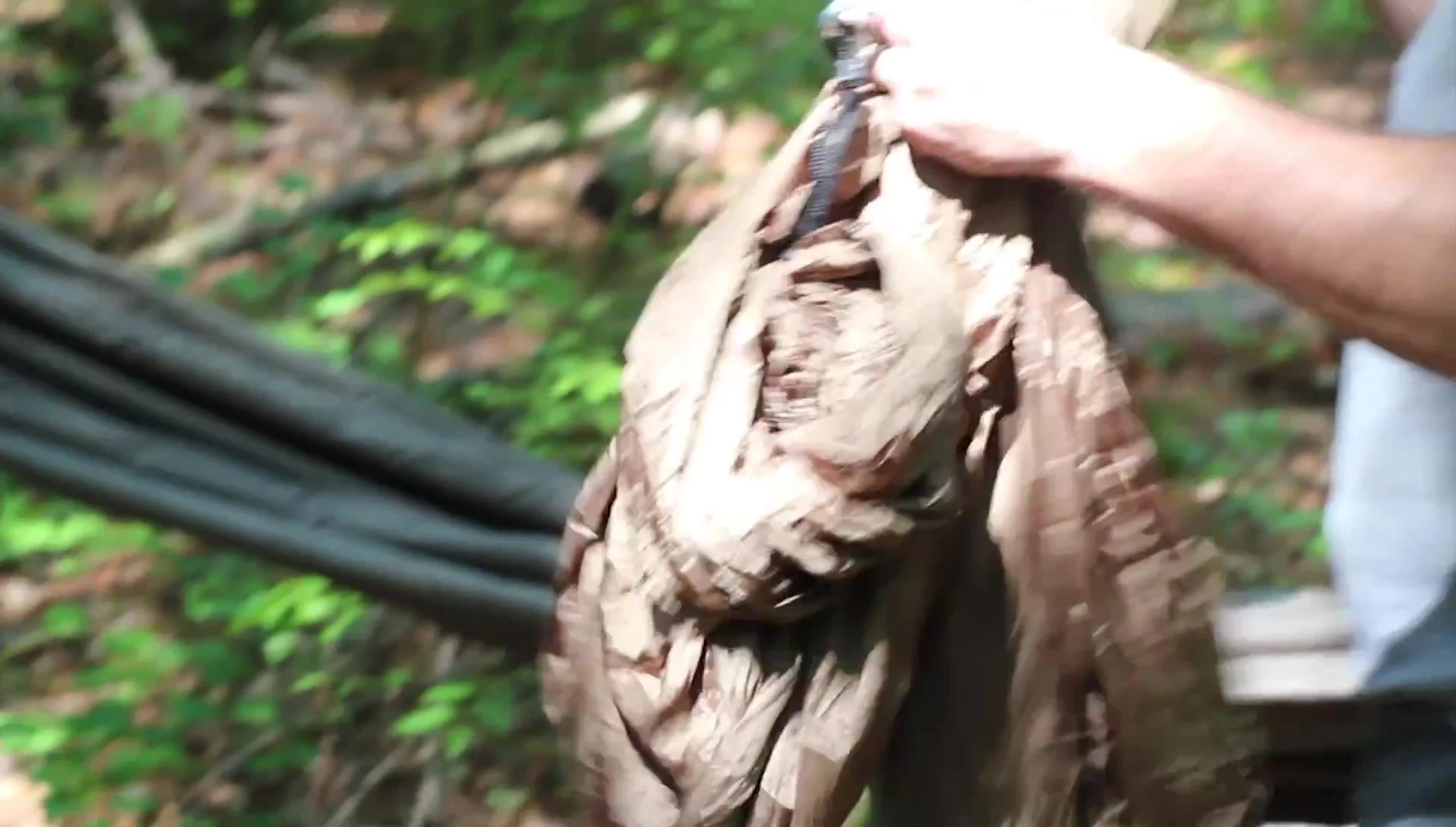 Comparing the snap links on the Eno and the carabiners on the Appalachian hammock.