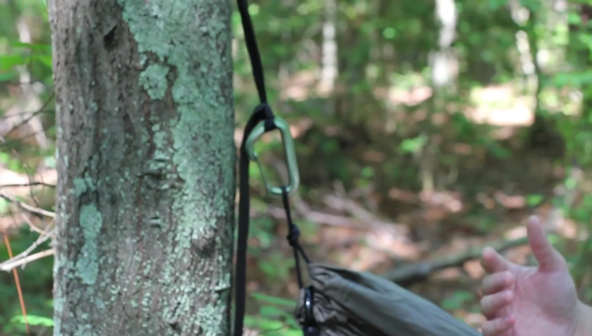 Image showing the hammock, straps, and carabiners included in the package.