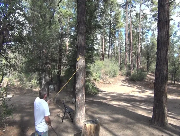 Tie a rope or branch to another tree to create an artificial limb.