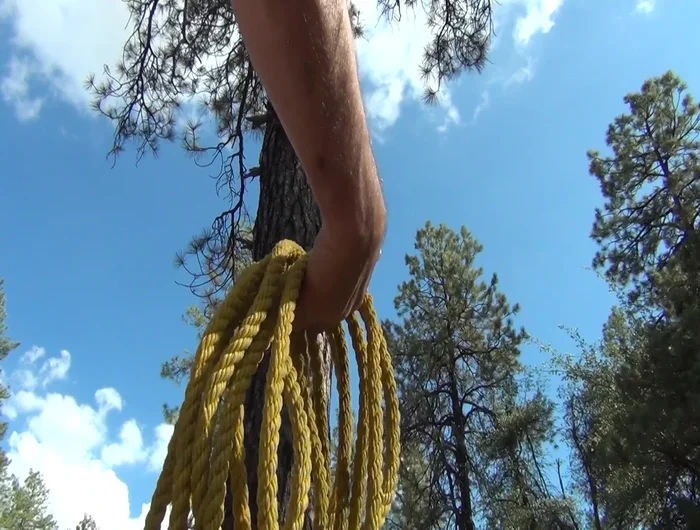 The friction of the tree will hold the rope; no need to tie it.