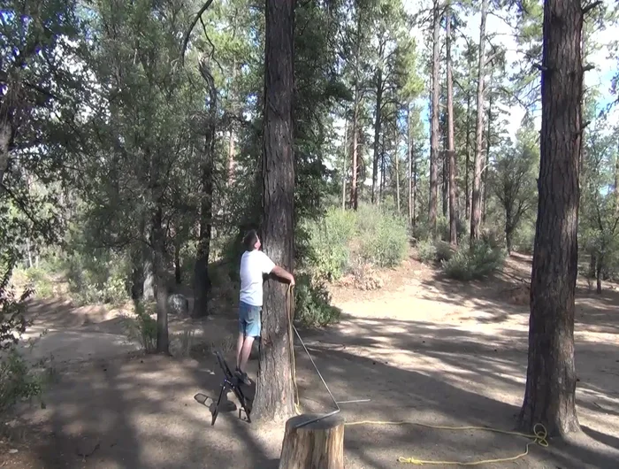 The friction of the tree will hold the rope; no need to tie it.