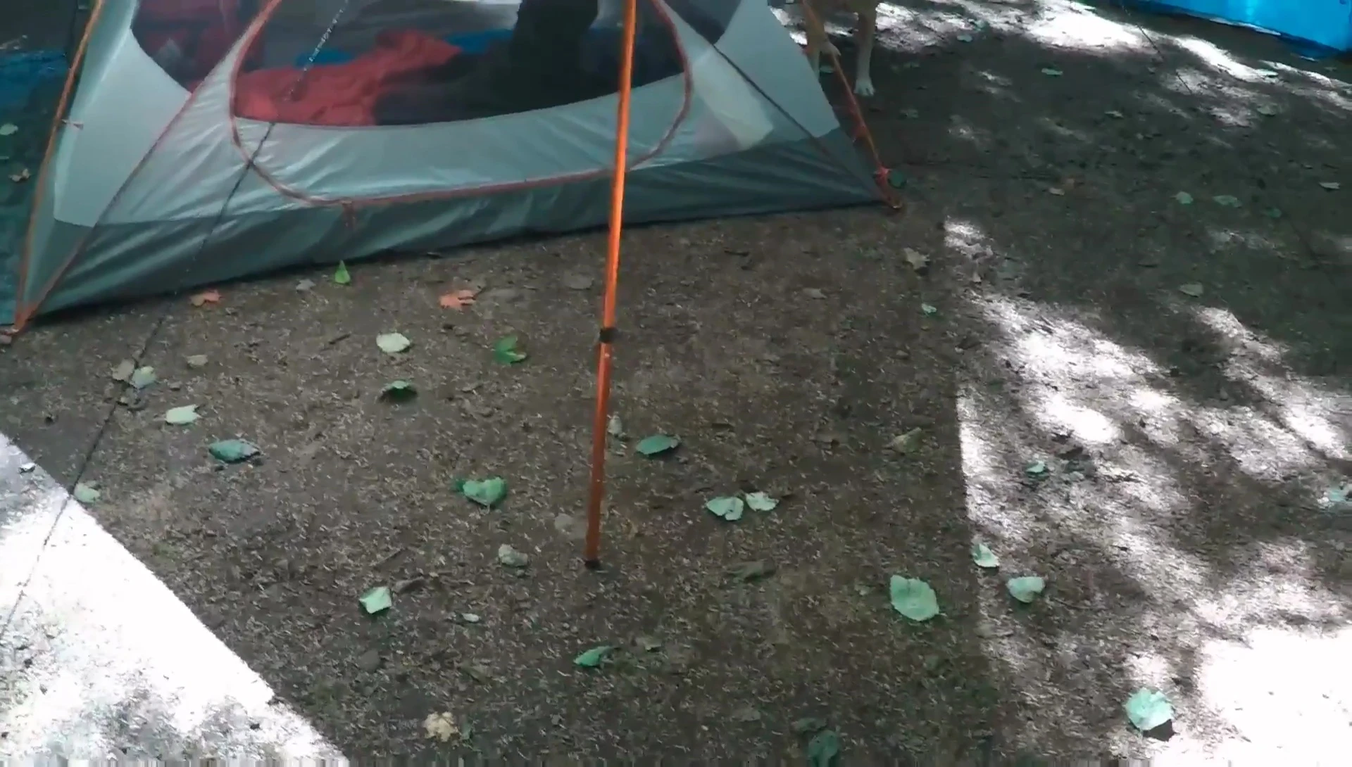 Example of how to adjust the pole height.