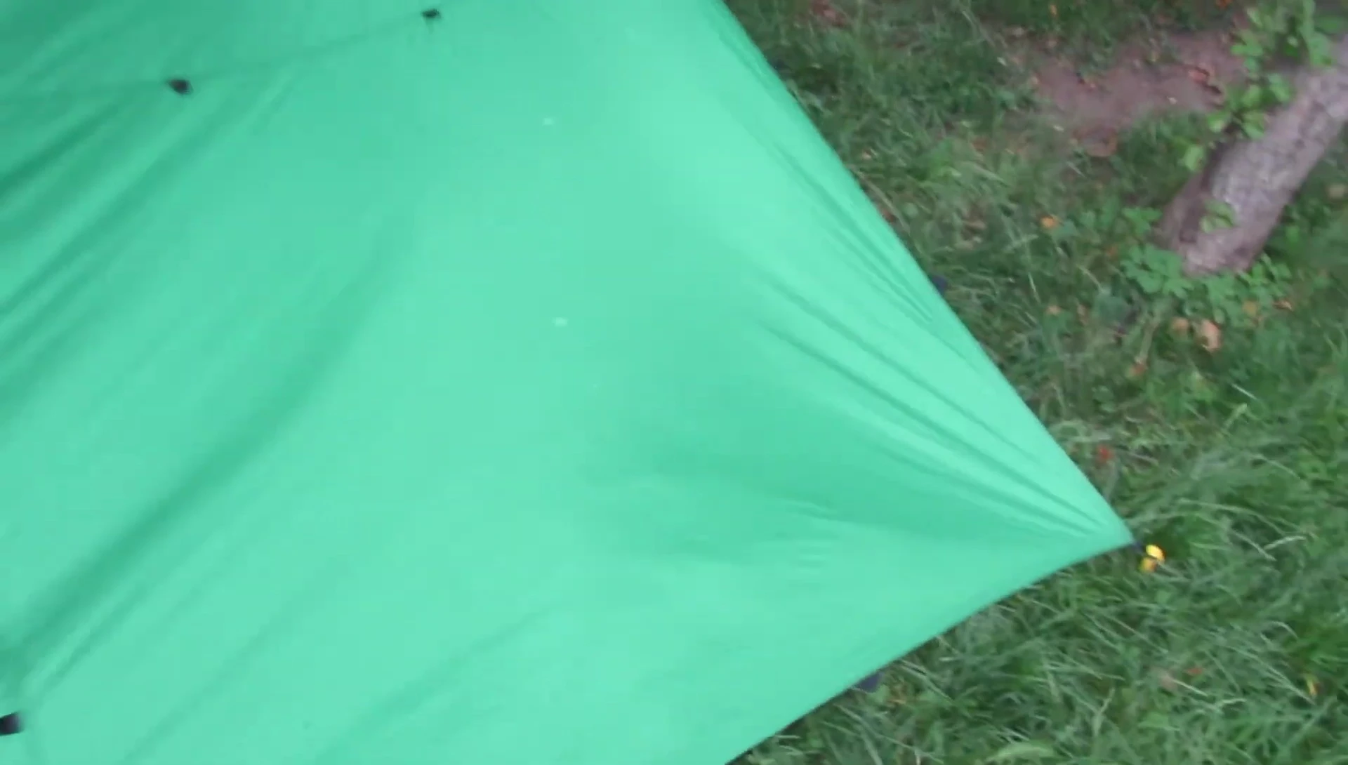 Close-up of Cook Custom Sewing tarp's reinforced webbing loops