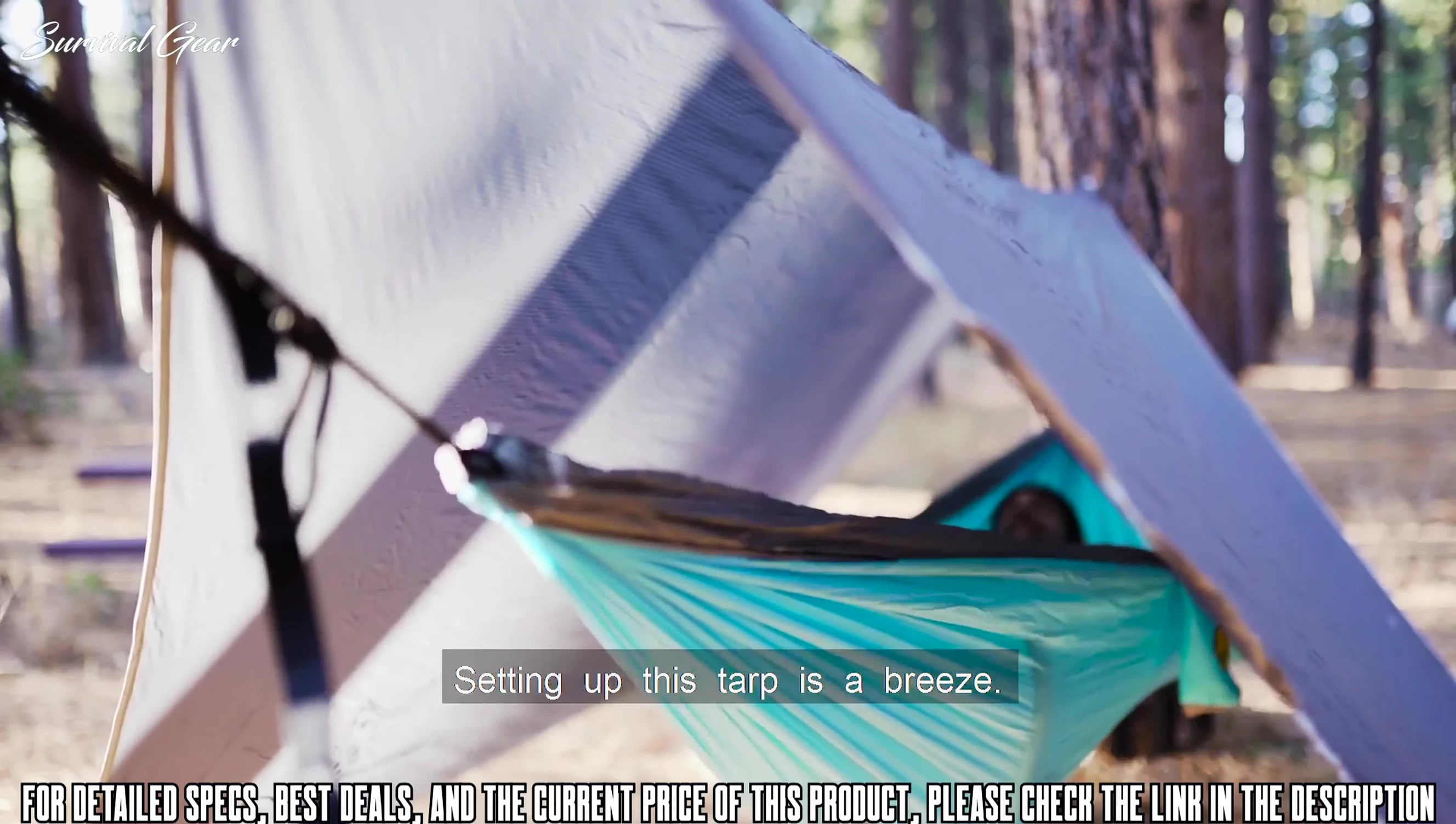 Demonstration of the simple setup process.