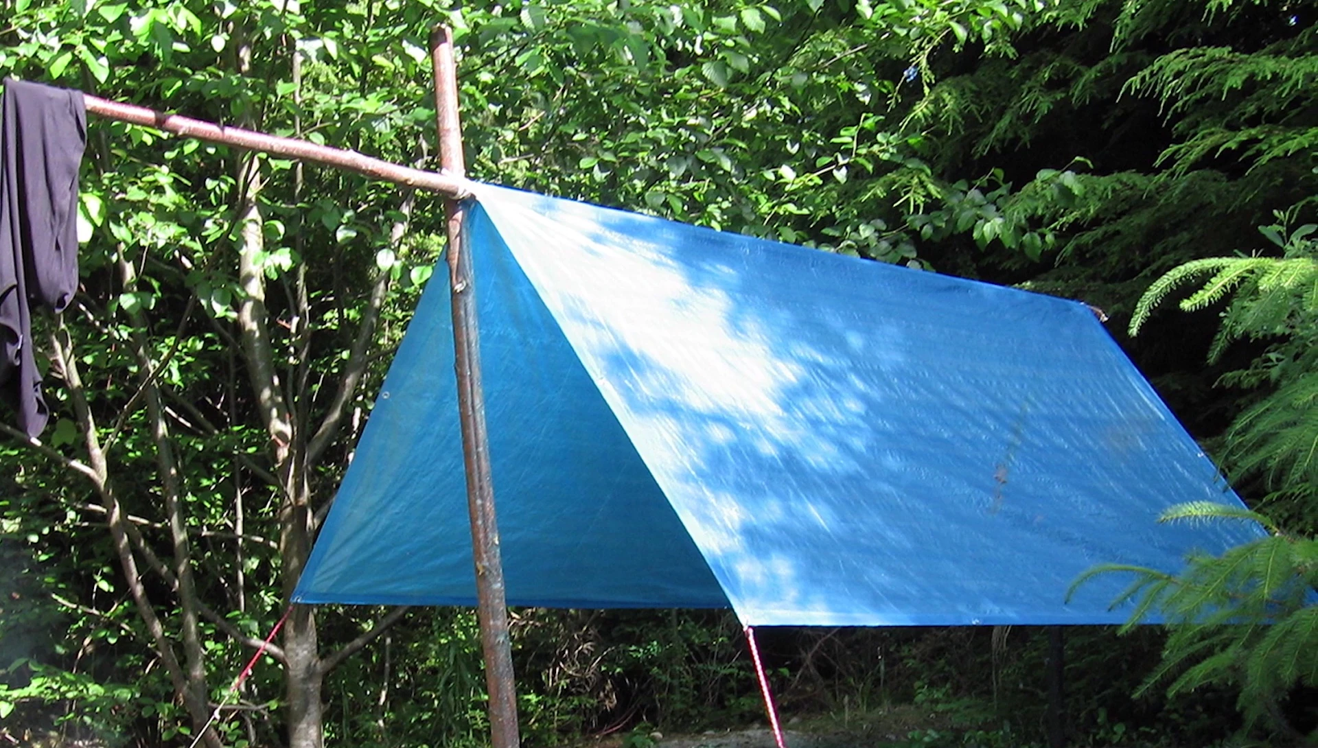 A cheap utility tarp and camping supplies