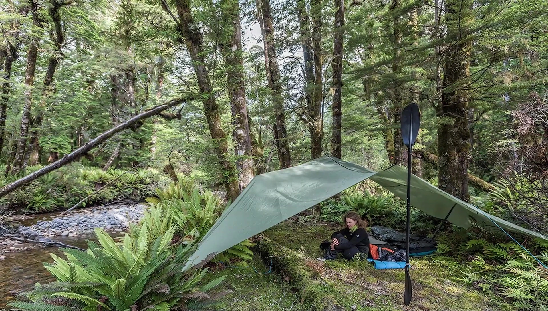 Tarp tied to trees