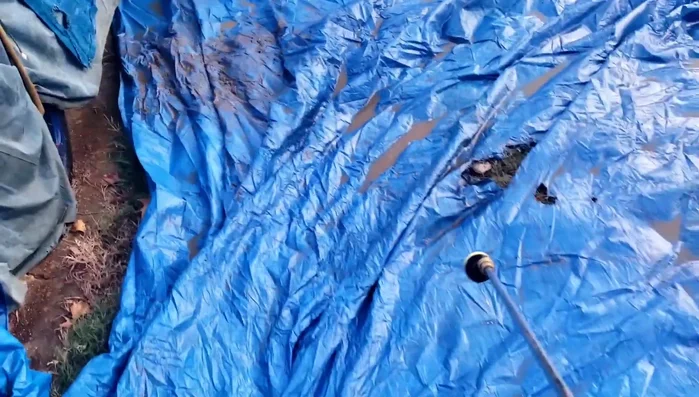 Scrub any remaining stubborn dirt with a brush.