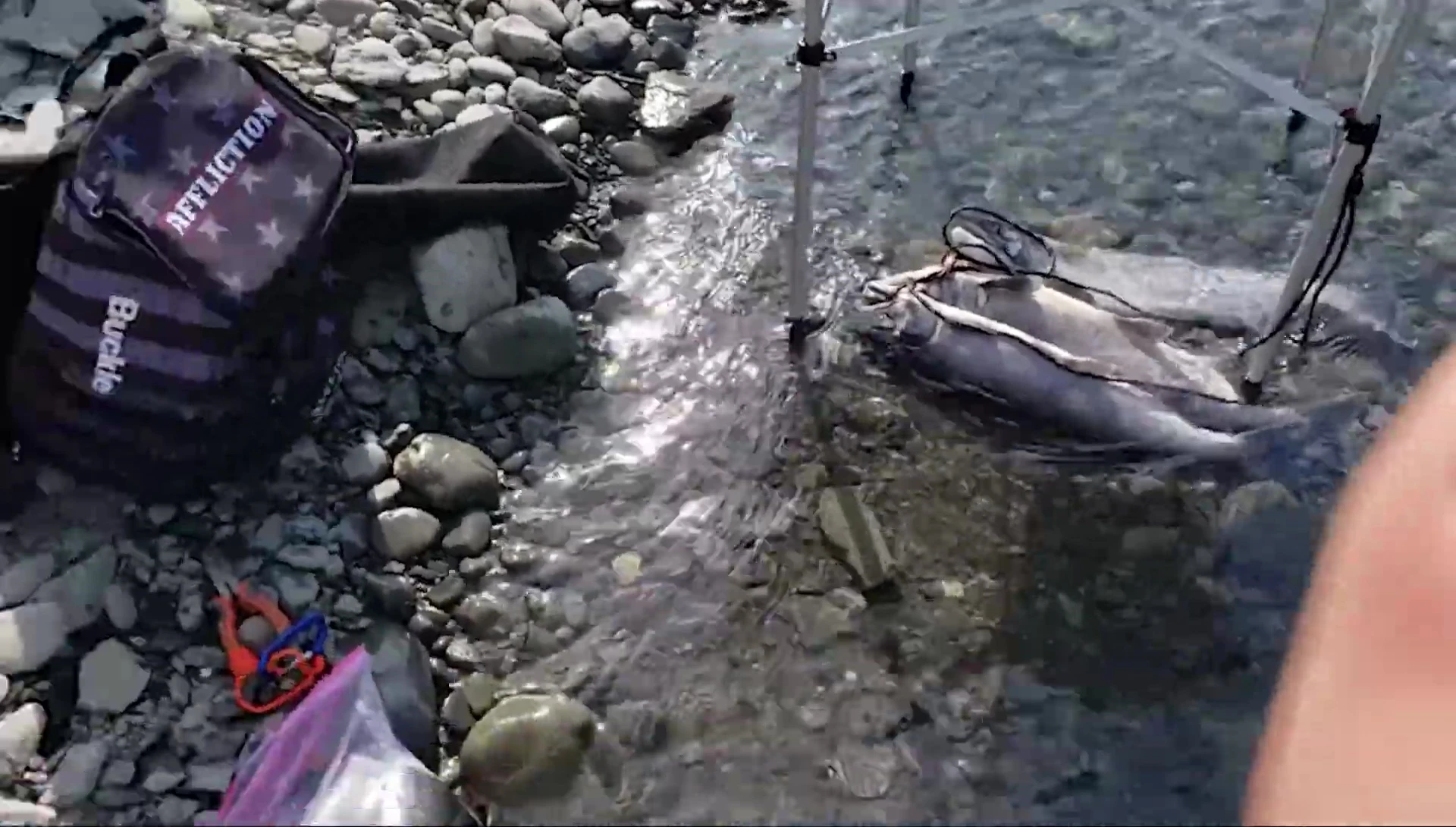 Someone filleting fish on the Cabela's roll-out table