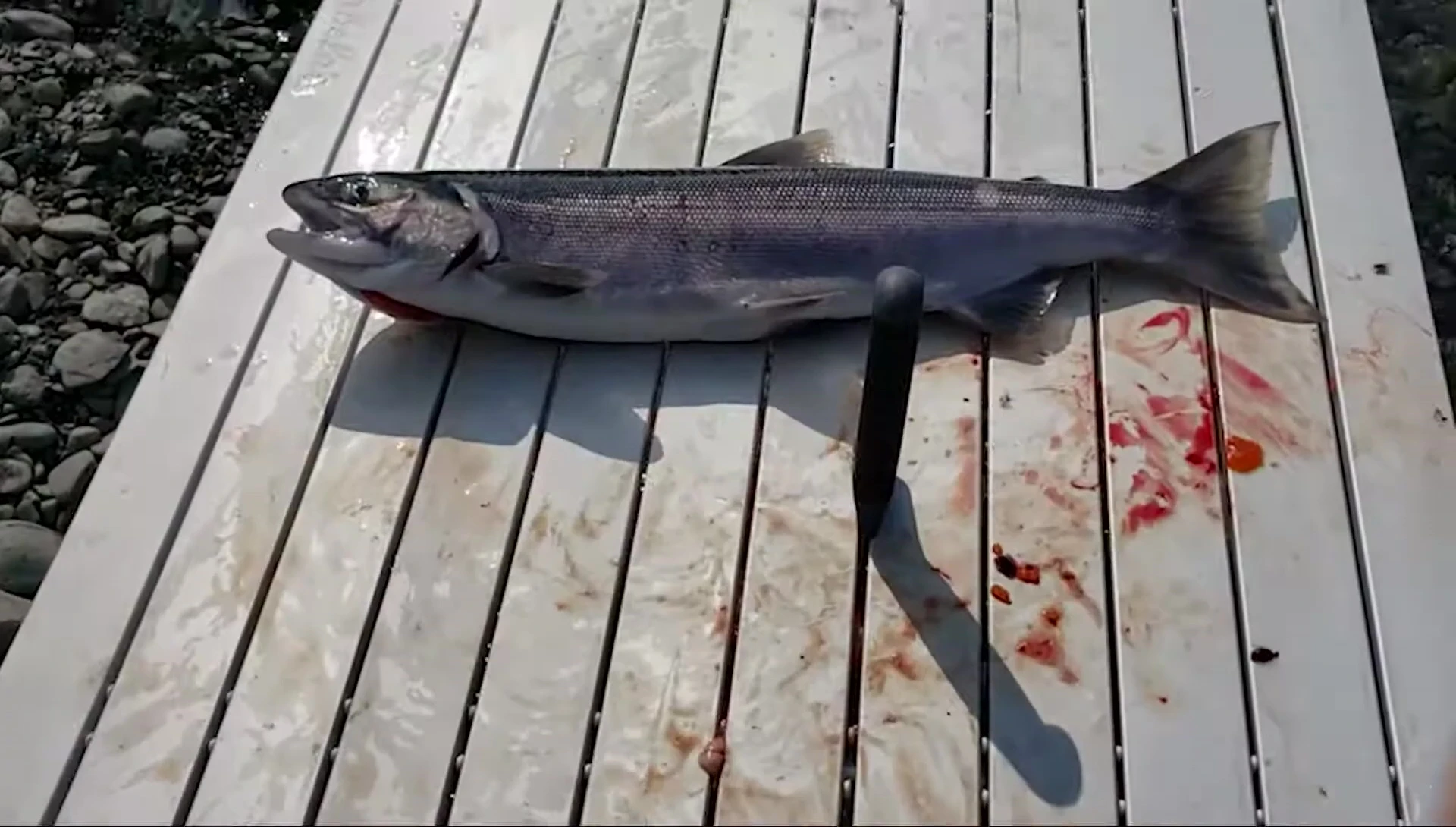 A shot of the table in action at a fishing location