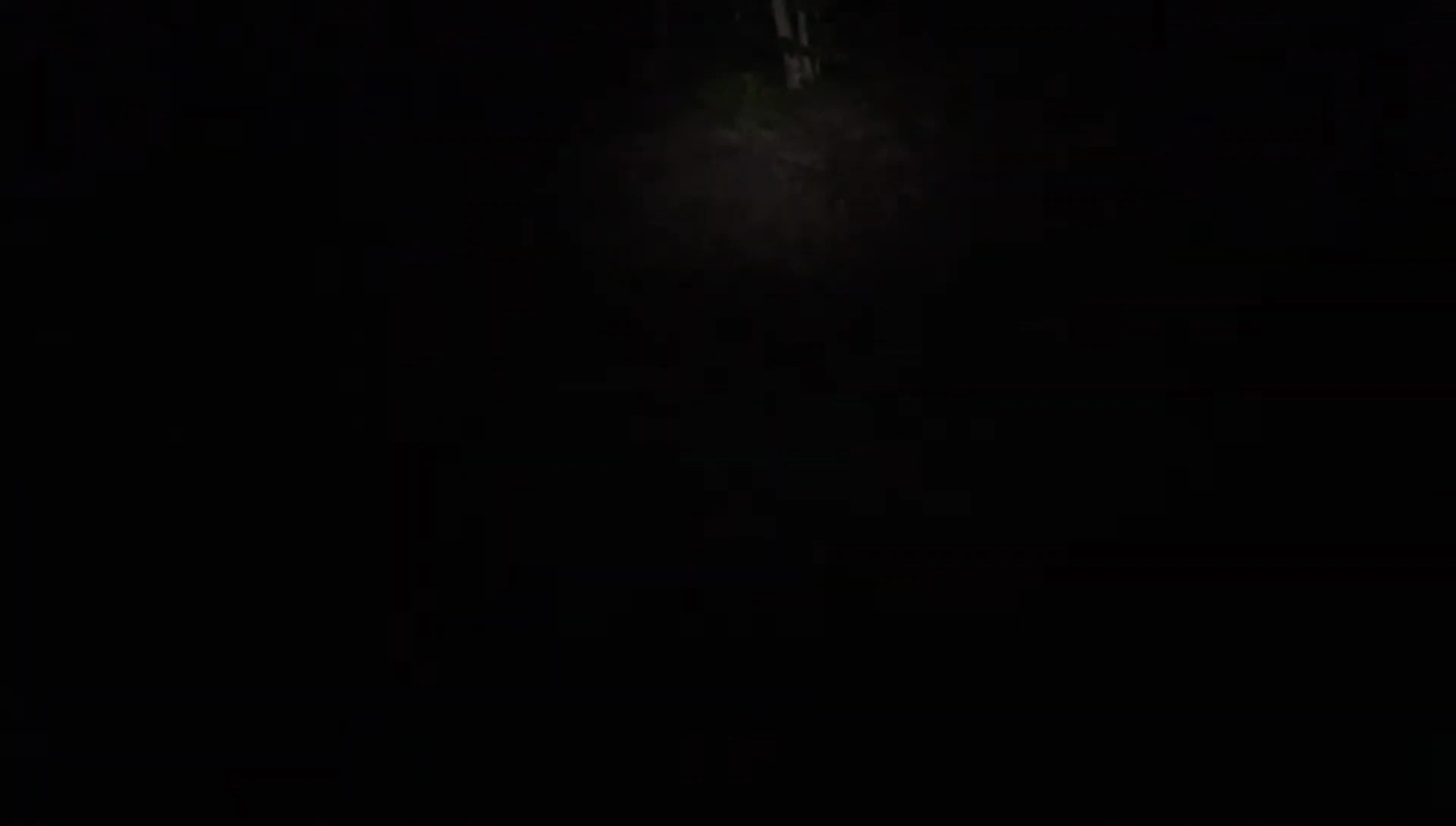 Headlamp illuminating trees and path at night