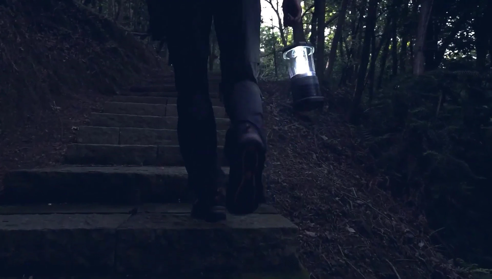 Inaf Fox Lantern's Brightness and Technology