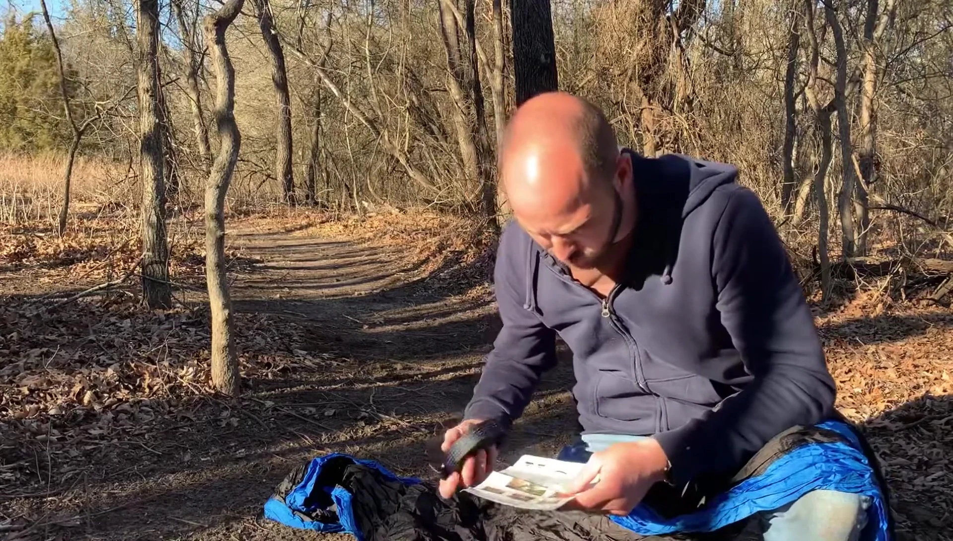 The reviewer selecting trees for hammock setup.