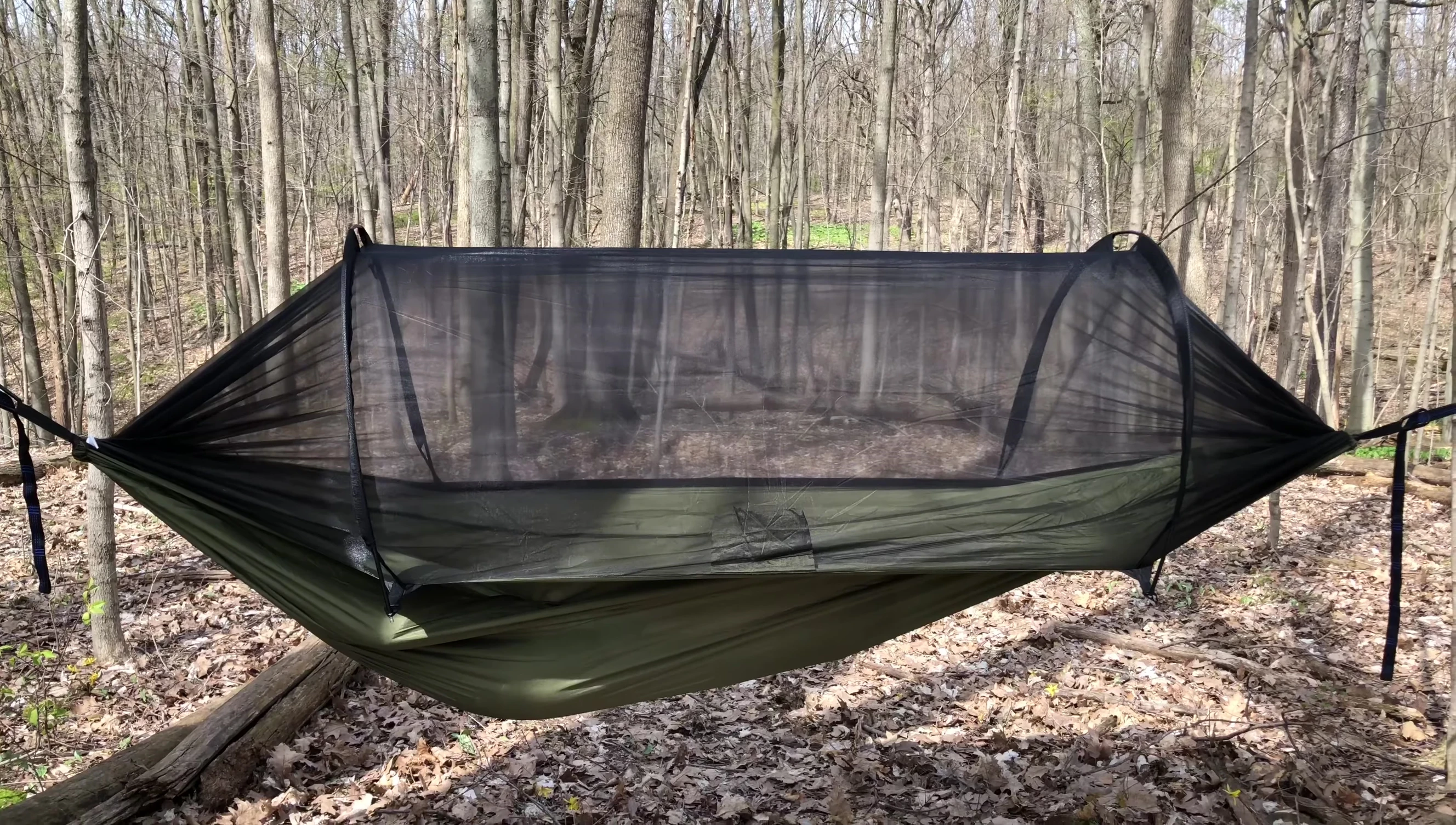 Two adults sitting in the hammock