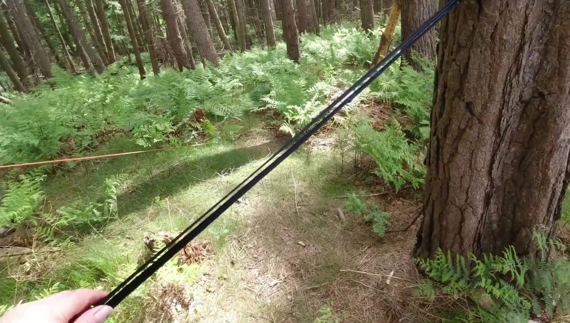 The reviewer showing the four small loops on the hammock.