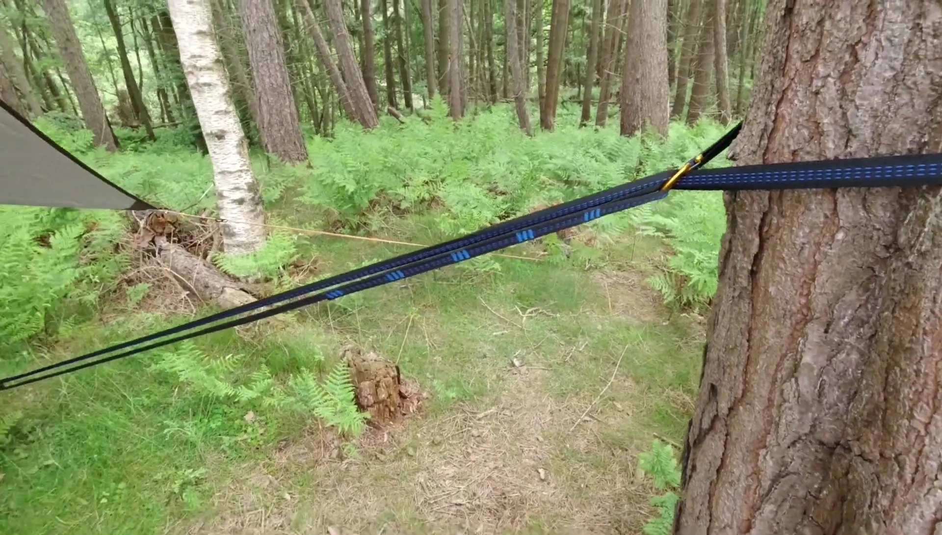 The reviewer demonstrating the need to double back the loops.