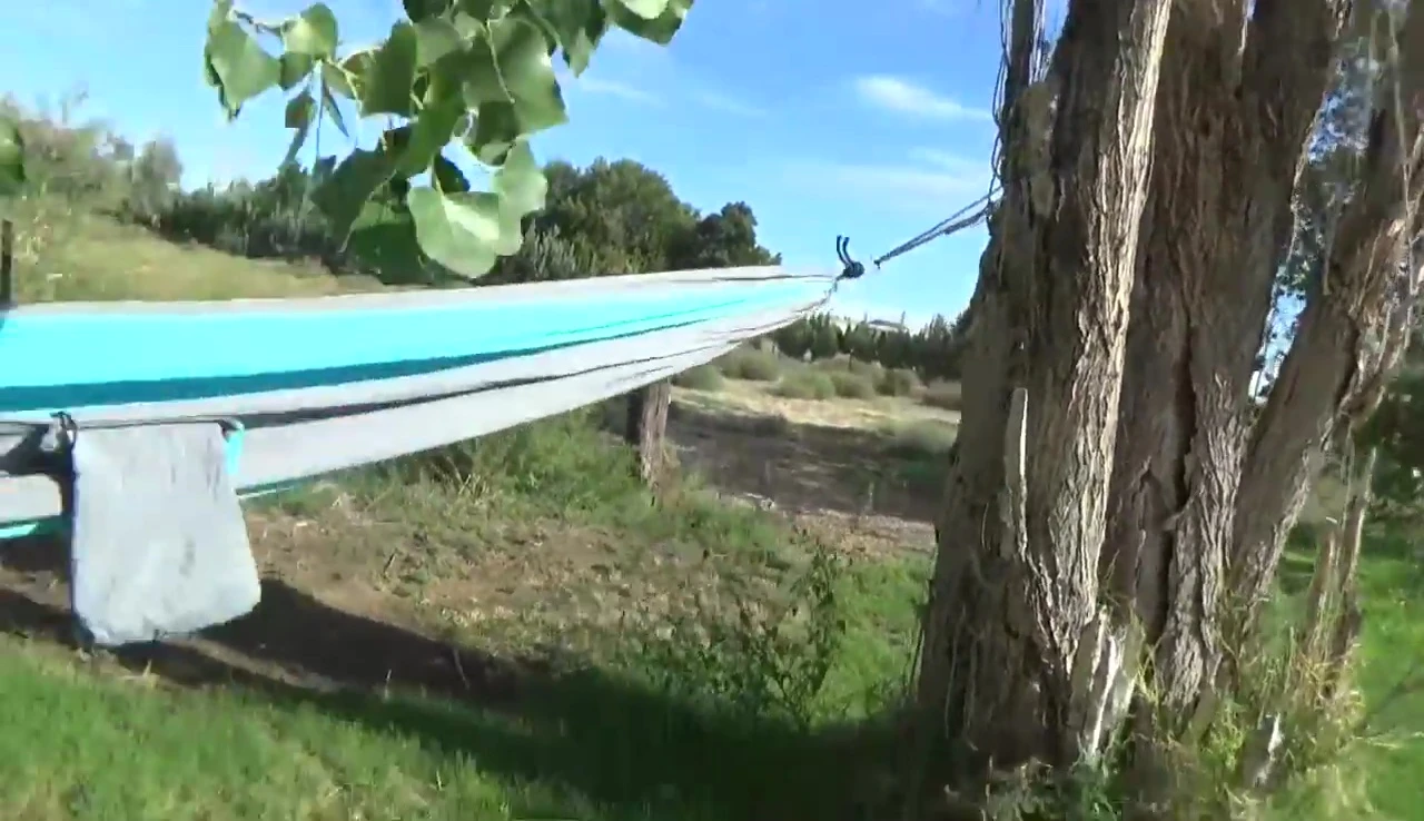 Hammock set up between two trees, showing the use of carabiners.