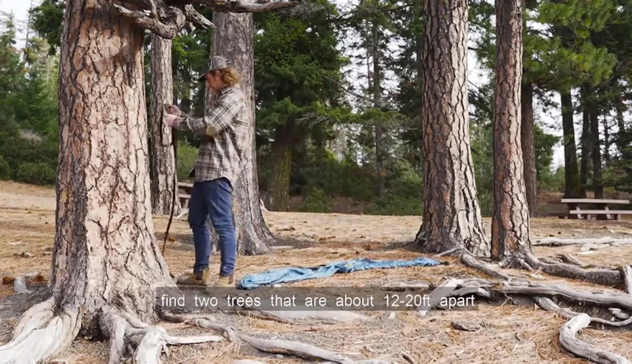 Visual guide on how to find suitable trees for hammock setup.