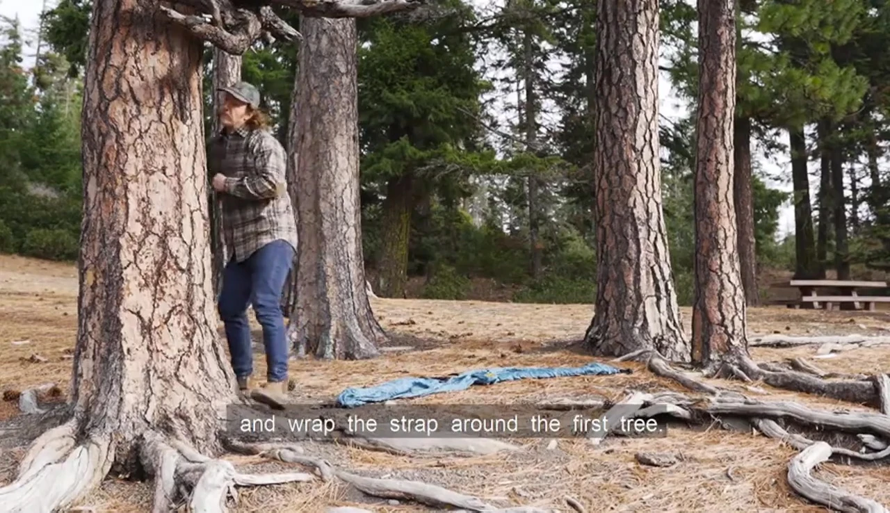 Demonstrating how to wrap the straps around a tree.