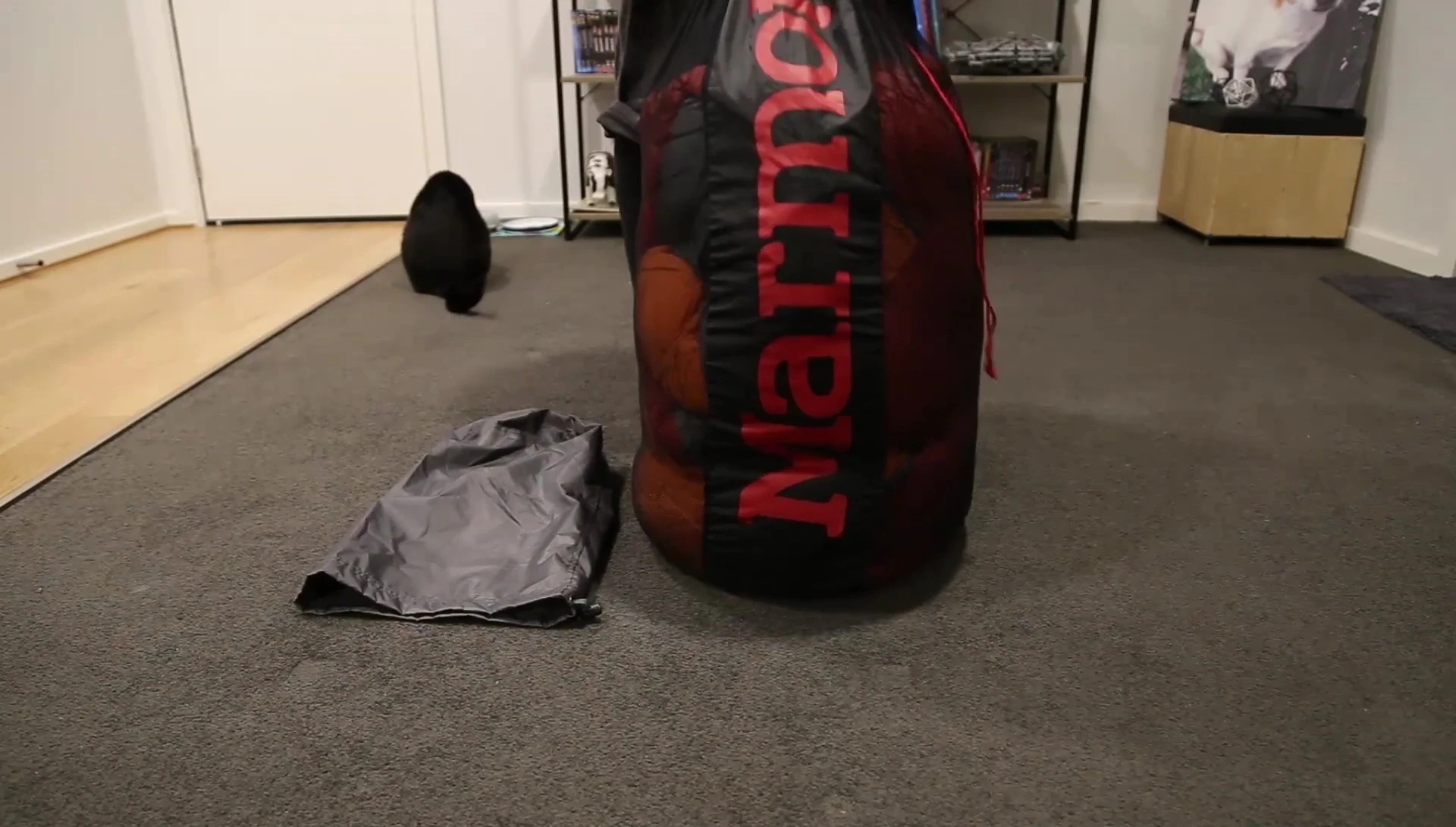 The sleeping bag inside its storage sack