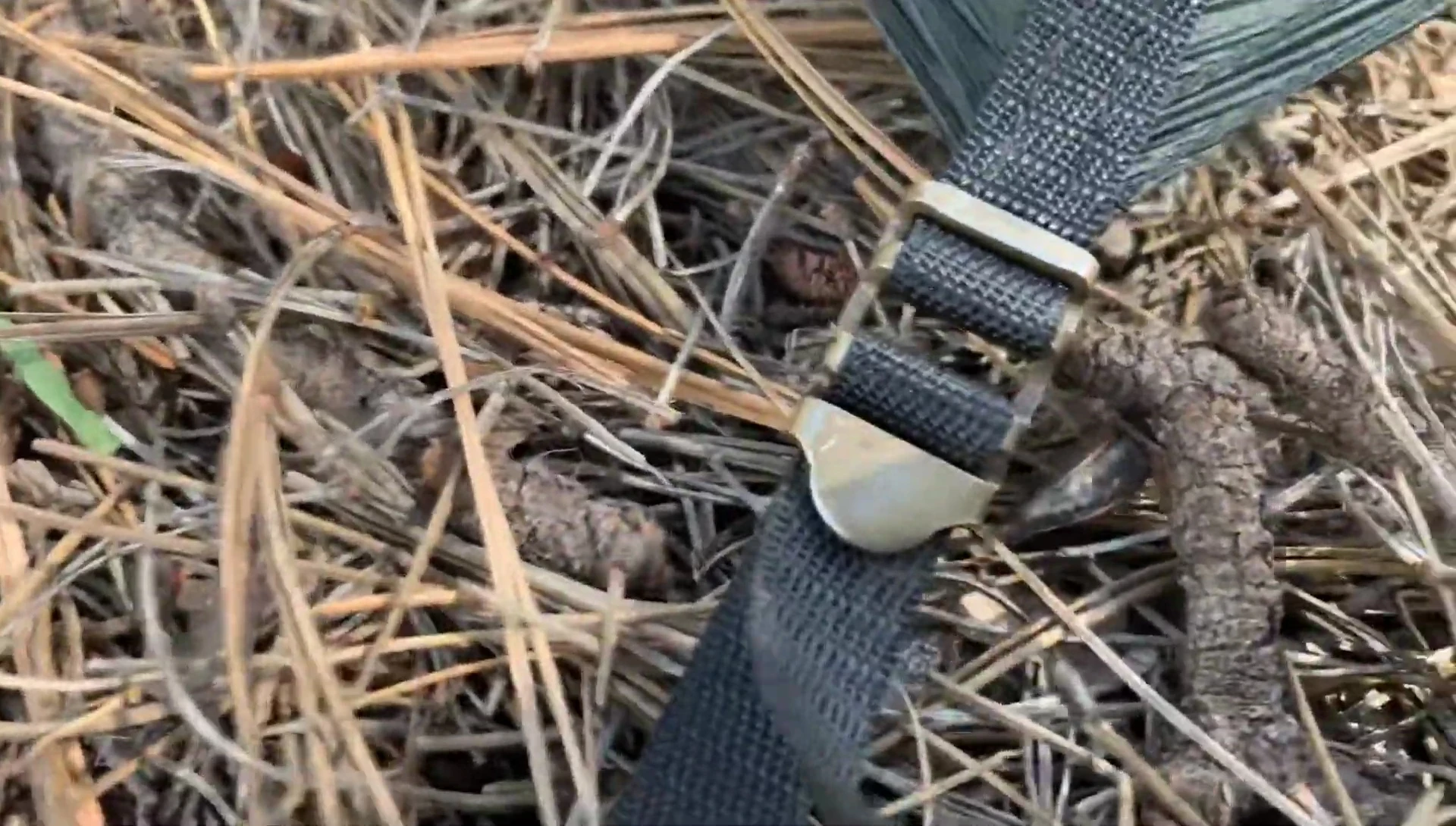 Close-up shot of the metal friction adjusters.