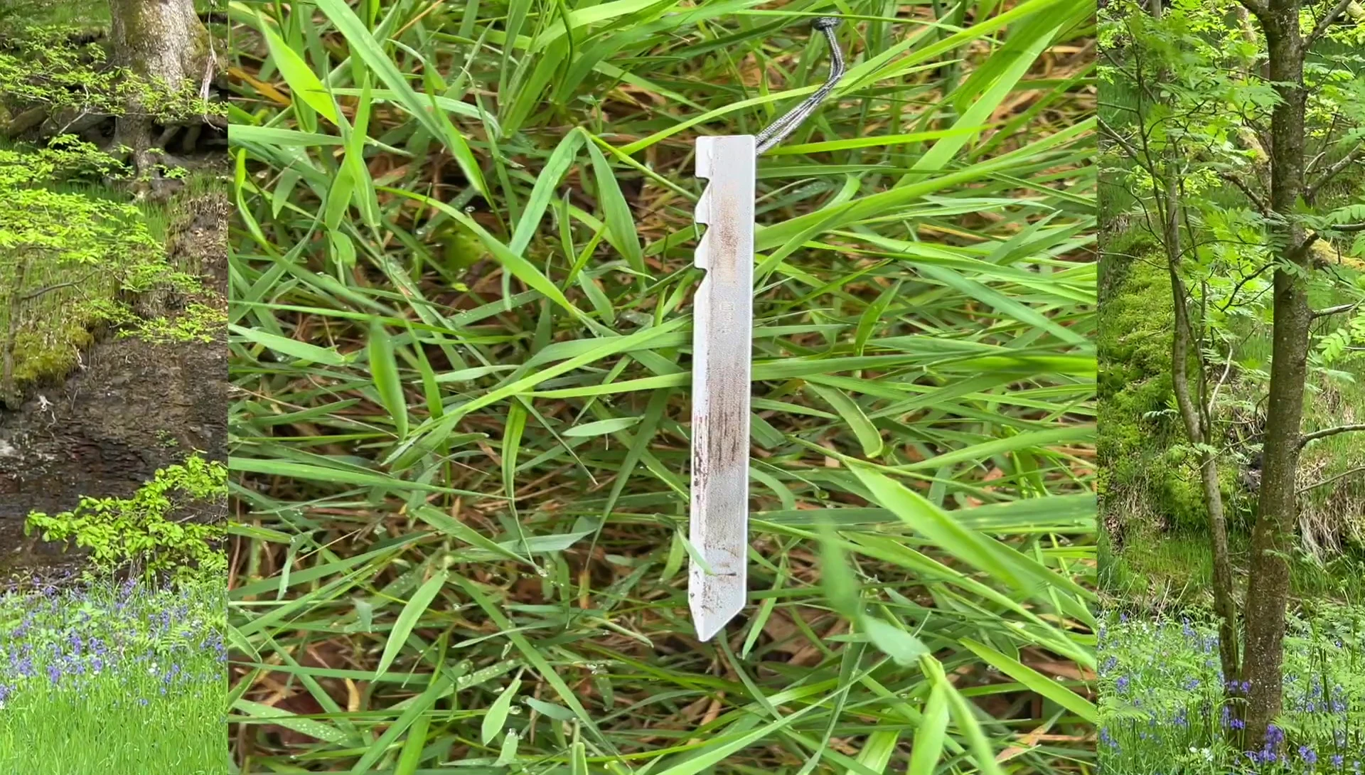 The standard pegs