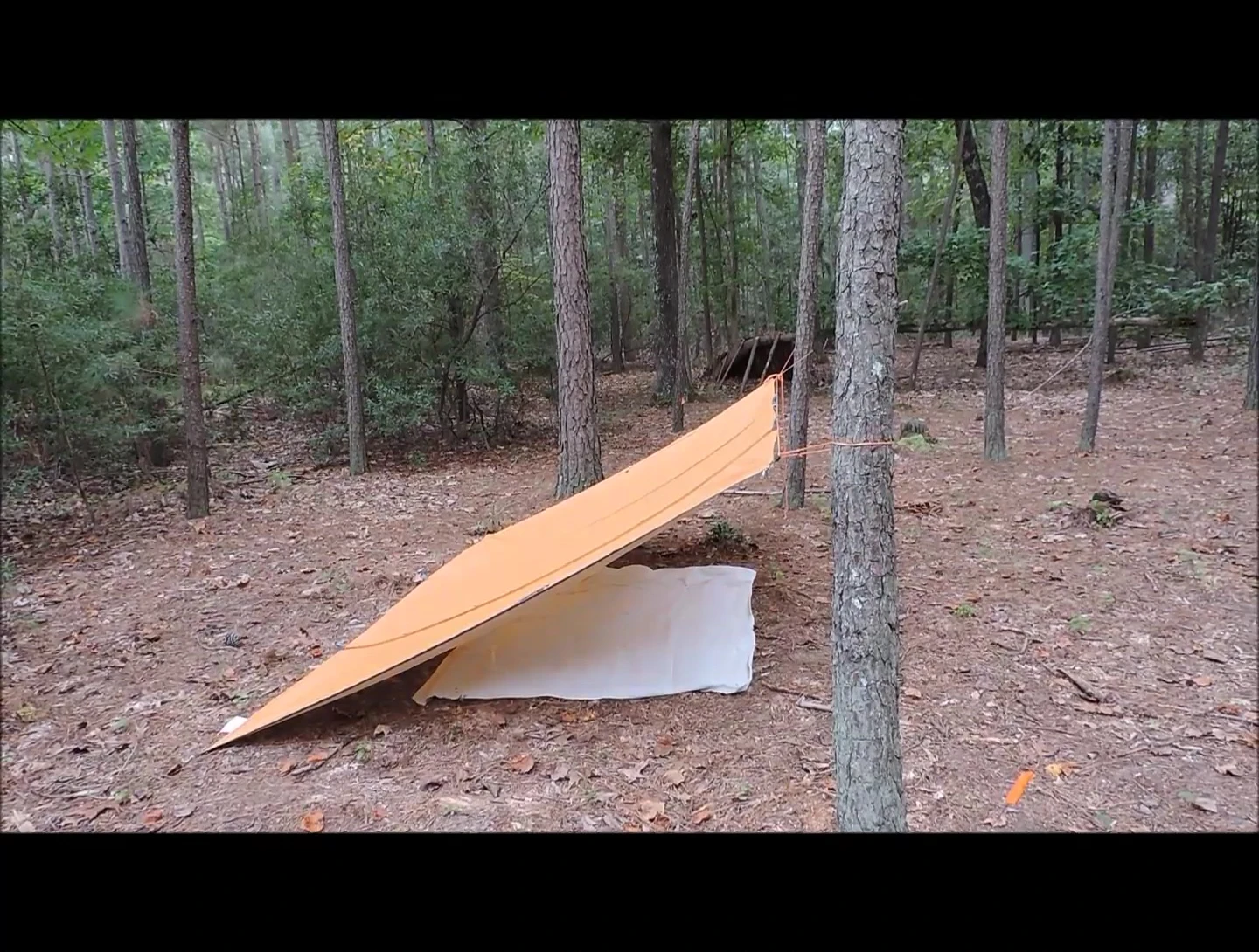 The completed lean-to shelter.