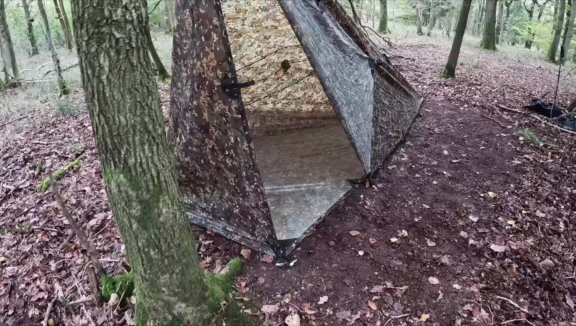 Interior view of the shelter showcasing its spaciousness.