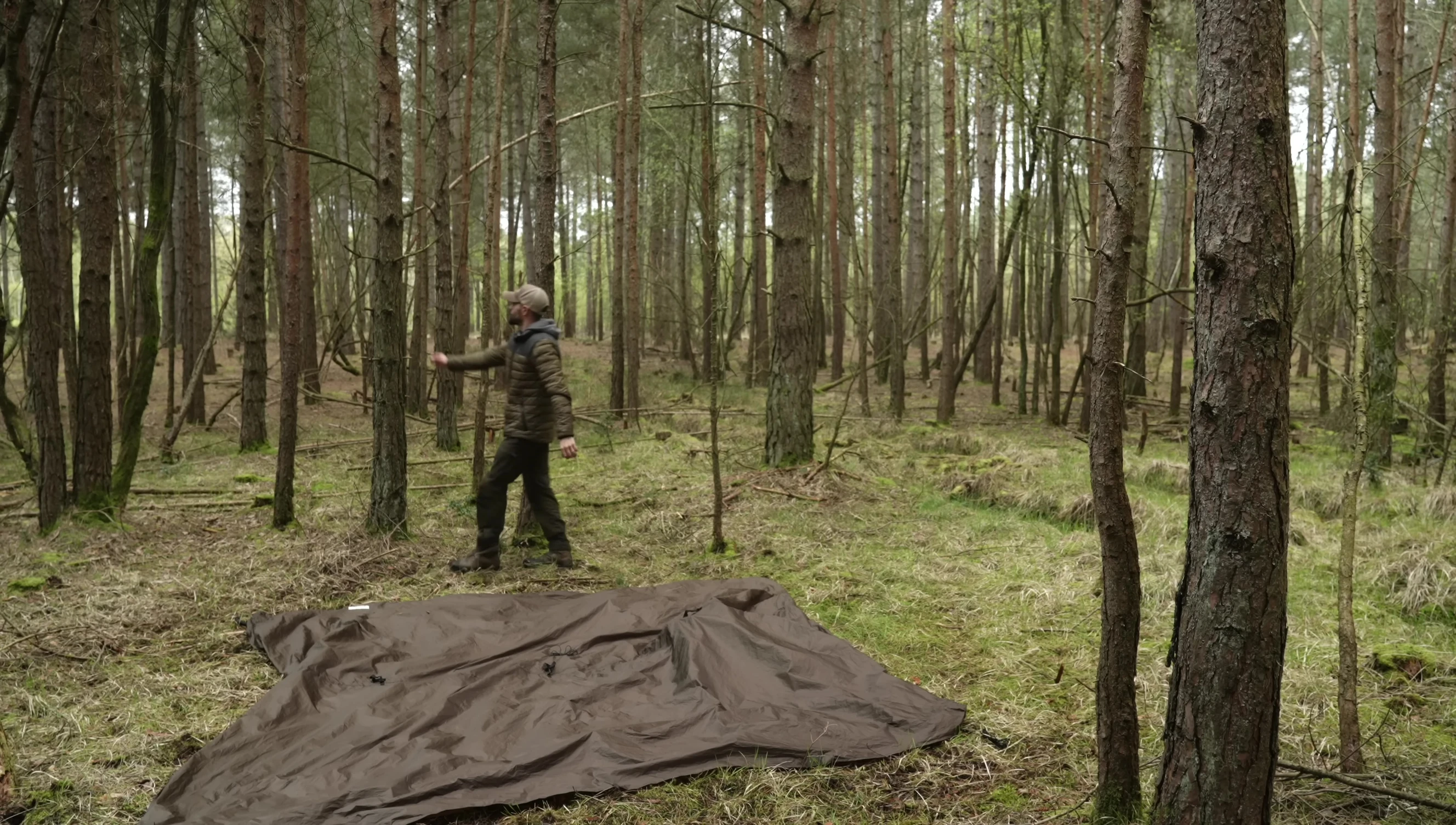 Tying tarp to trees for hammock shelter