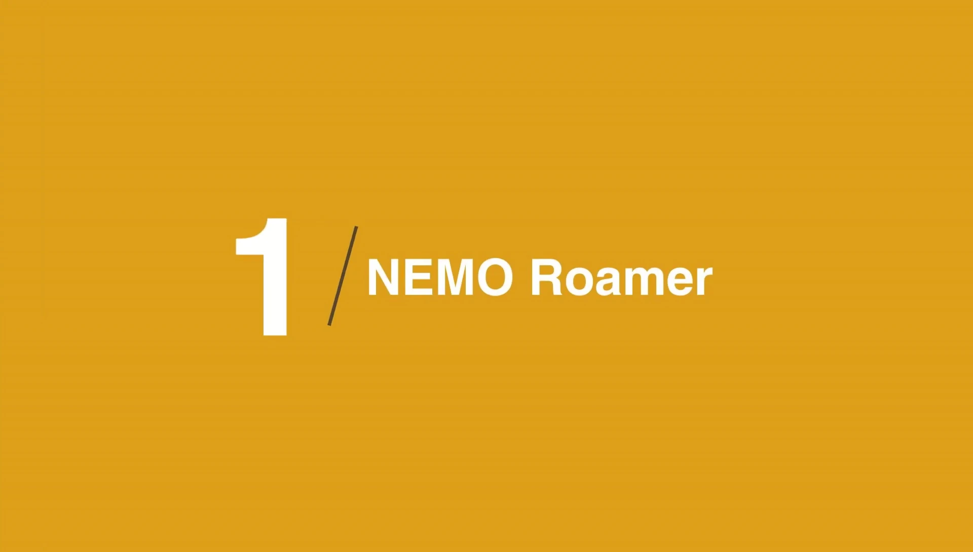 Image of the Nemo Roamer double sleeping pad
