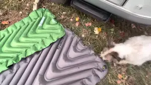 Klymit Static V vs Static V Luxe: Air Mattress Camping Review