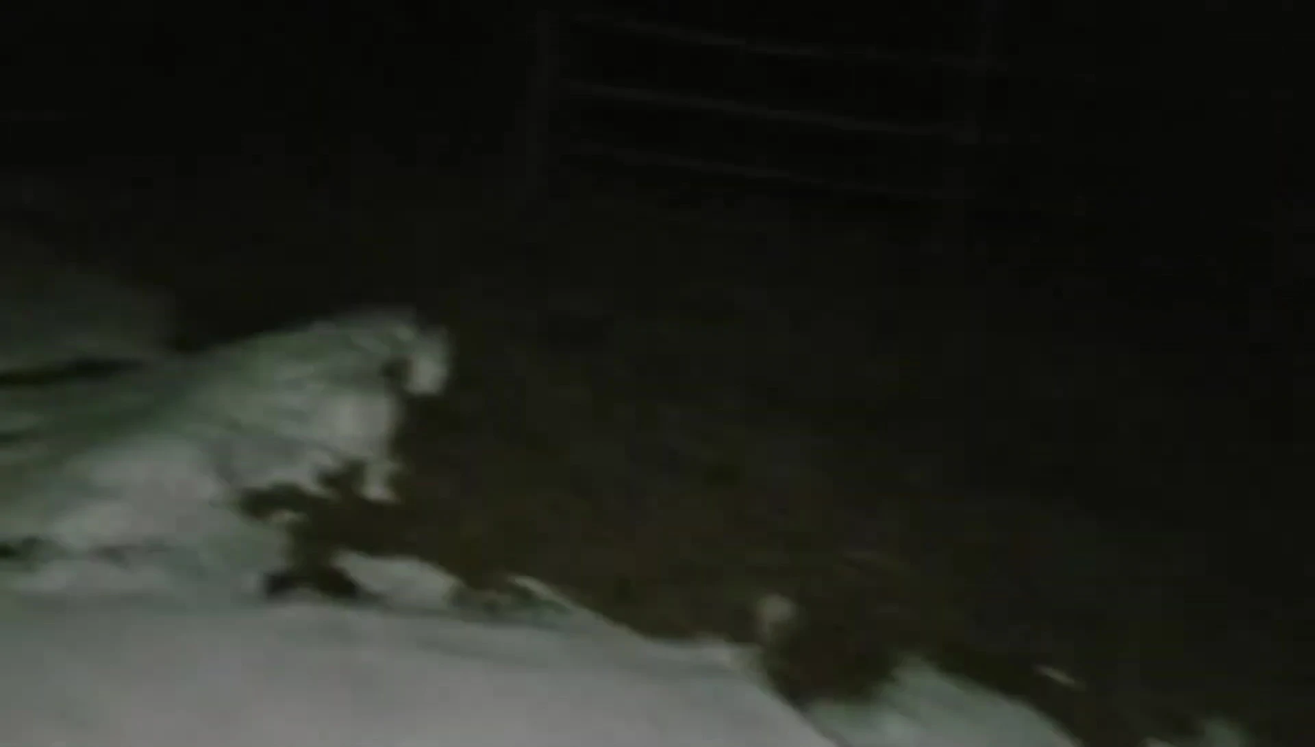 The PackLight Hero lighting up the snowy path