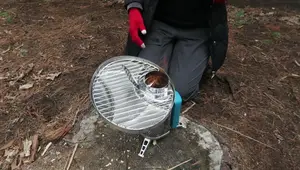BioLite Camp Stove vs. Cook Stove: A Comprehensive Comparison