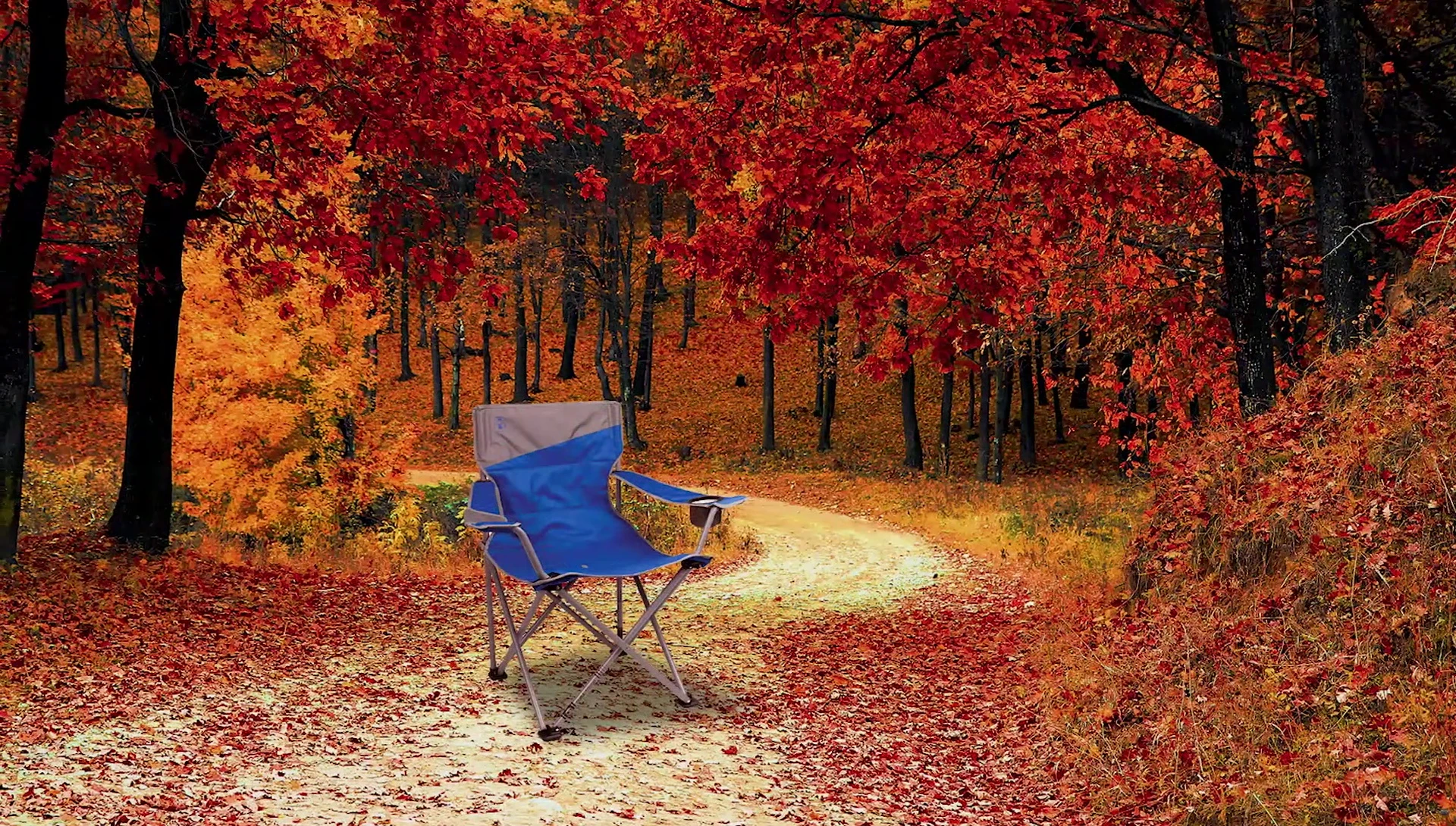 A person sitting comfortably in the Coleman Big and Tall Quad Camping Chair.