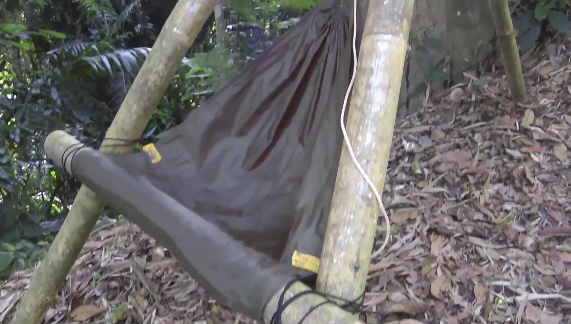 Speaker describing jungle-inspired chair concept