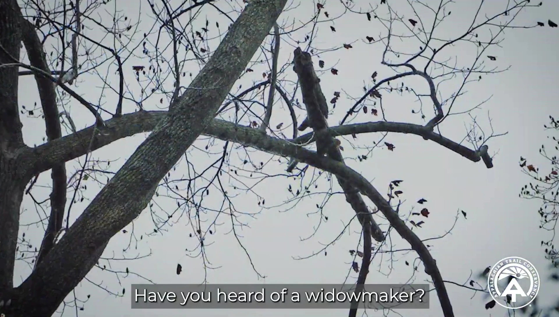 Identifying potential hazards such as widowmakers
