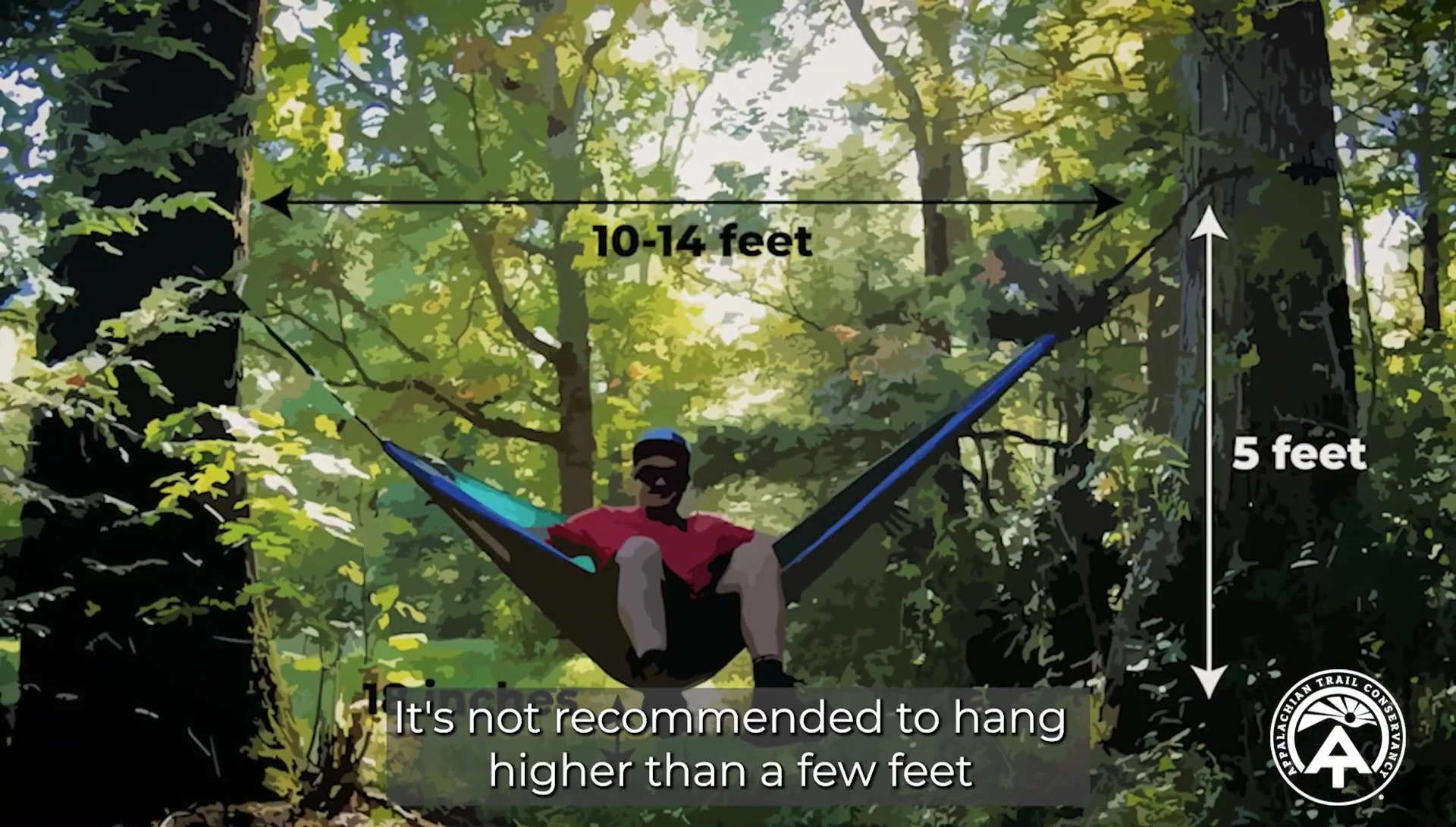 Recommended hanging height to minimize stress on trees