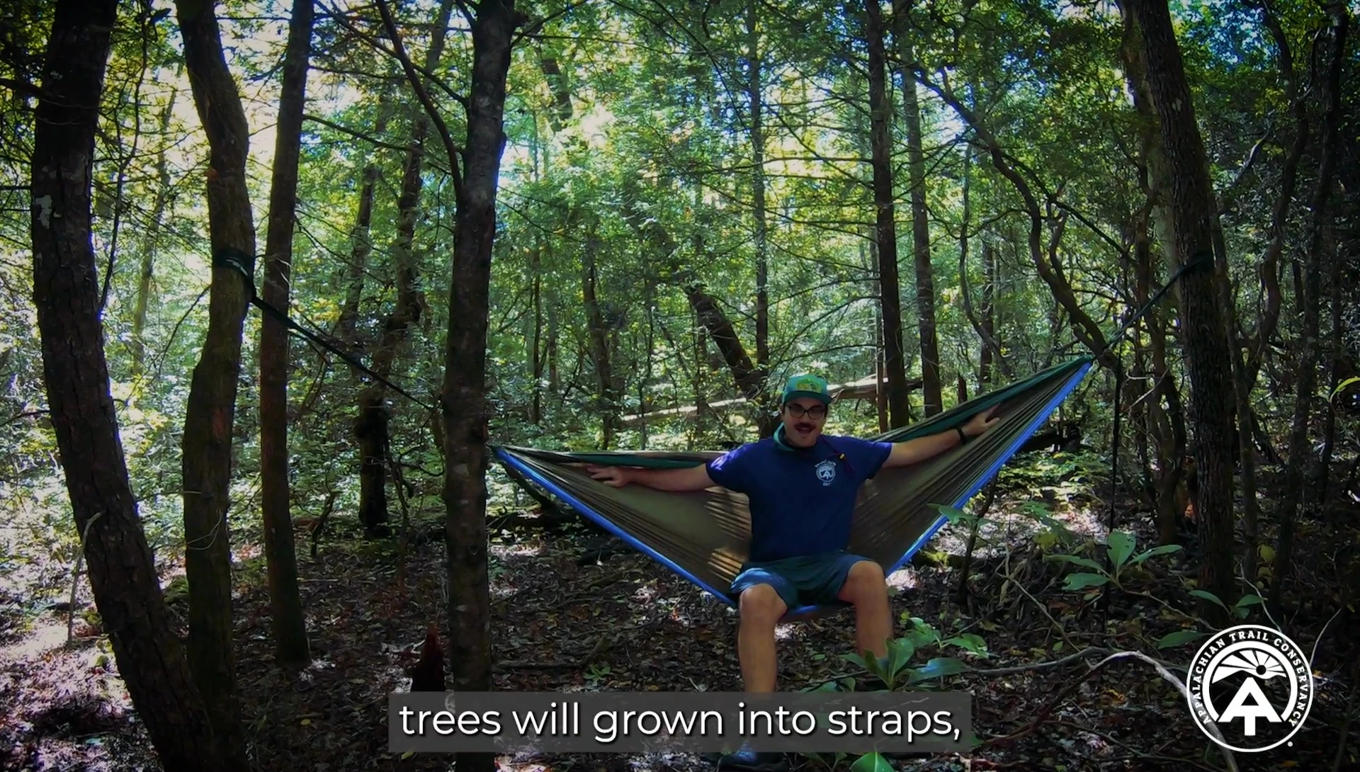 Hammock straps can damage trees over time