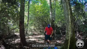 Hammock Camping: A Responsible Guide for Appalachian Trail Adventures