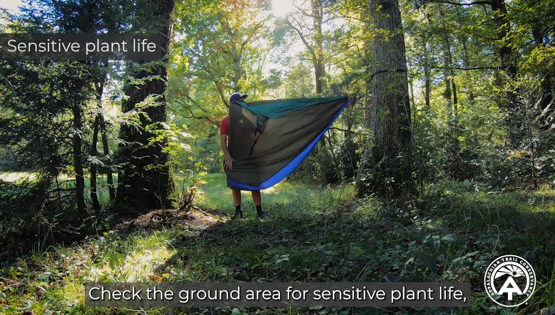 Checking for sensitive plants and wildlife habitats