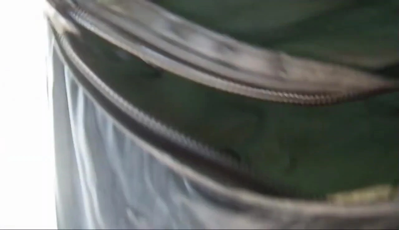 Interior view of the hammock showing the spaciousness and mosquito net.