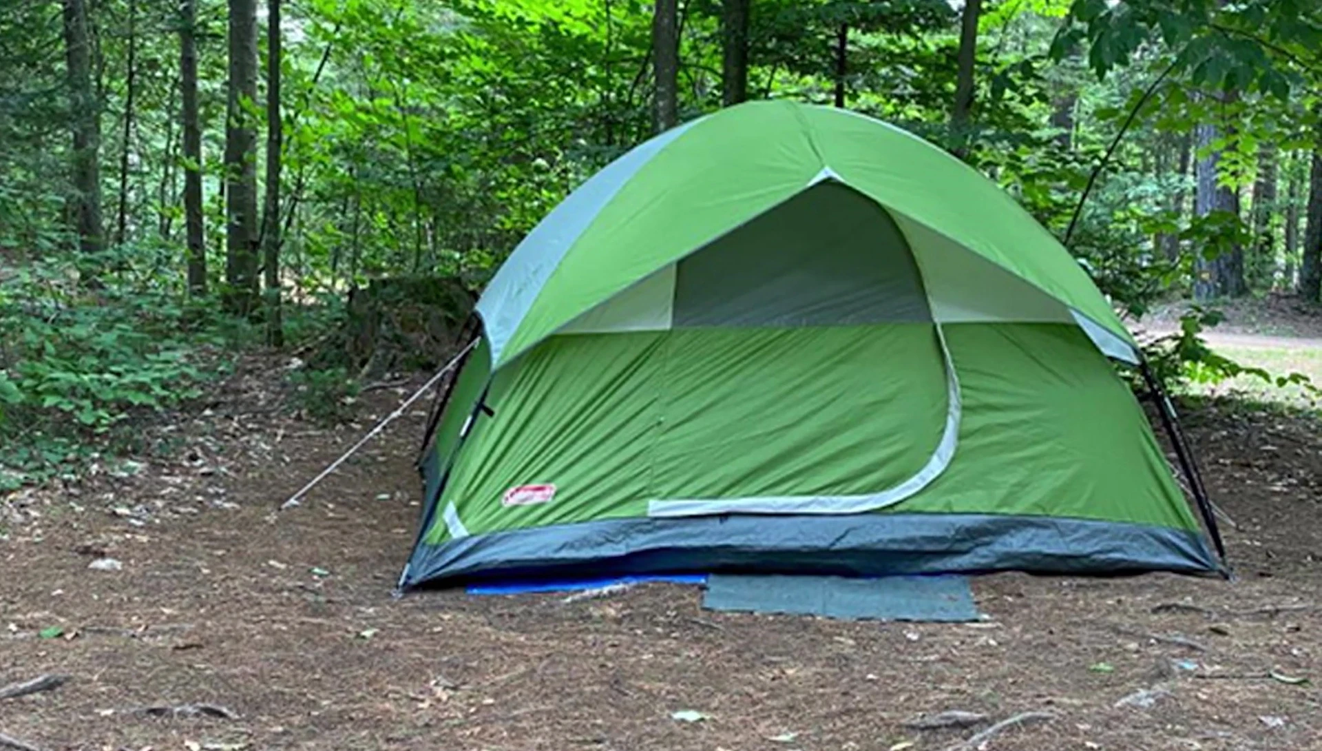 Coleman Sundome 4-Person Tent interior shot showing space
