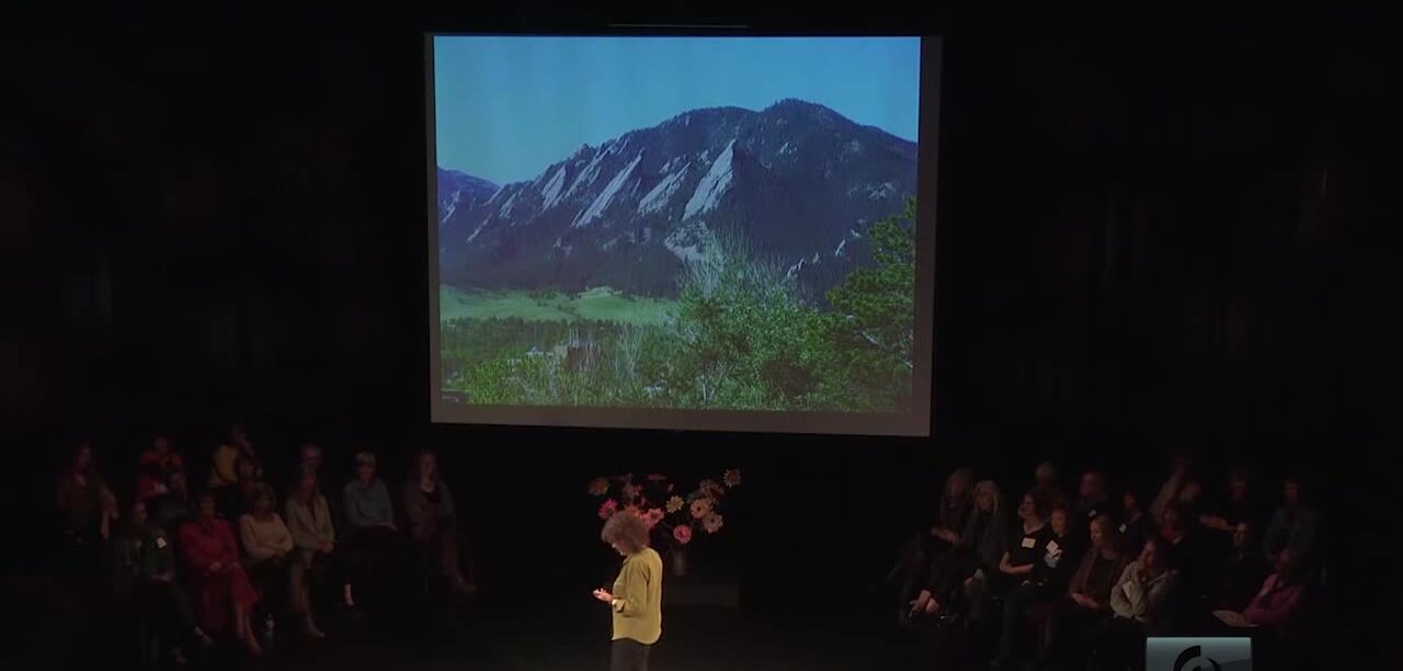 The speaker describing her step-by-step approach to achieving her goal